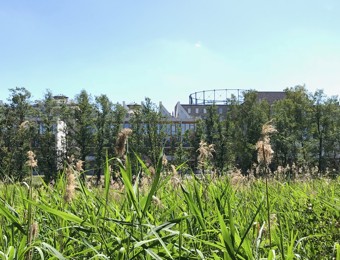 Vy Frn Kungliga Nationalstadsparken Med Etapp Norra 2 Kvarteret Stora Sjfall