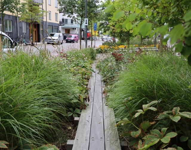 Grona Strak Langs Jaktgatan